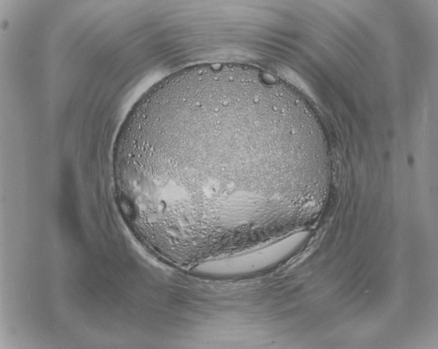 X0000070431087200606302120