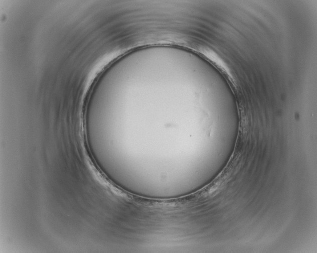 X0000070431088200606302120