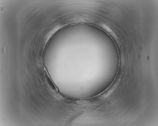 X0000070431089200606302120