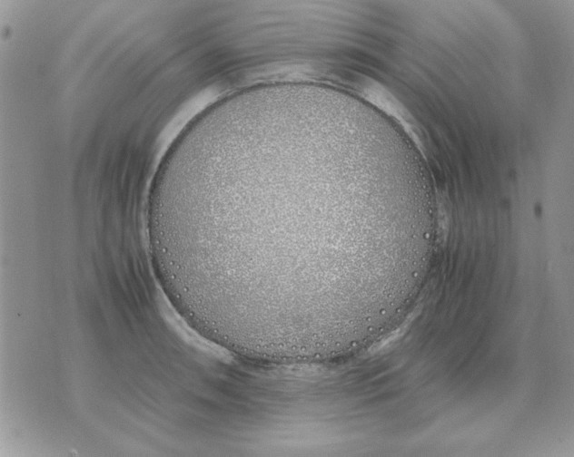 X0000070431090200606302120