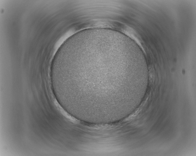 X0000070431091200606302120