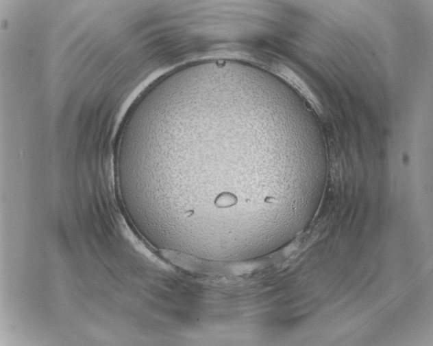 X0000070431092200606302120