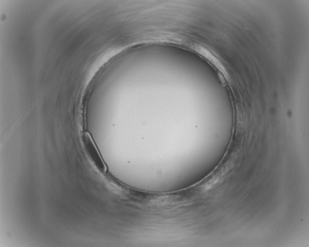 X0000070431093200606302120