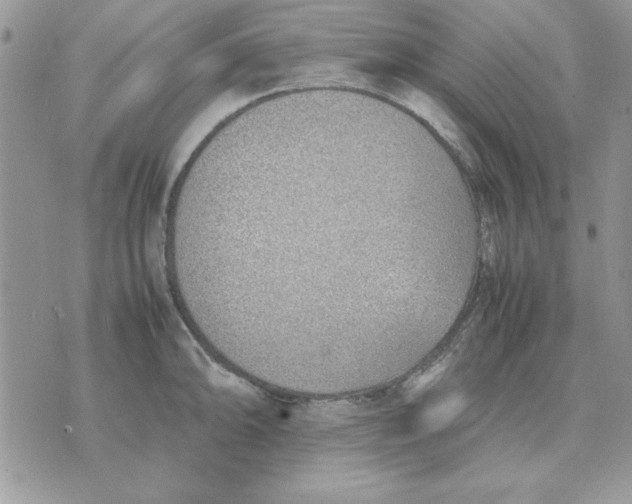 X0000070431094200606302120