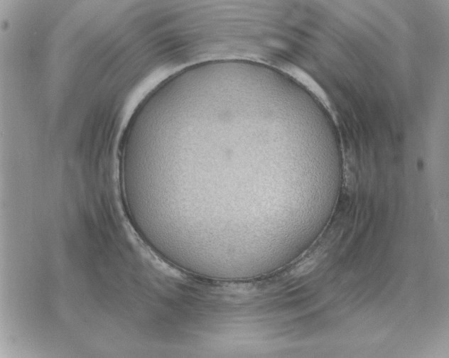 X0000070431096200606302120