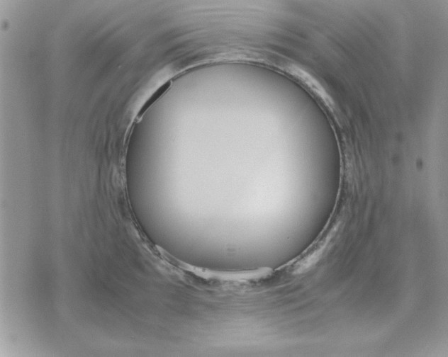 X0000070431097200606302120