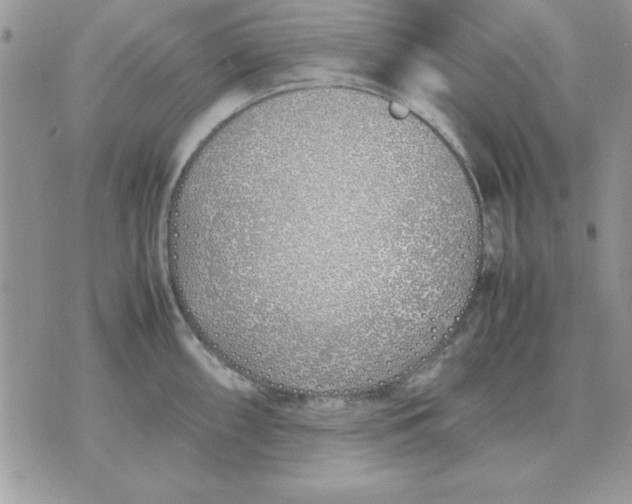 X0000070431098200606302120