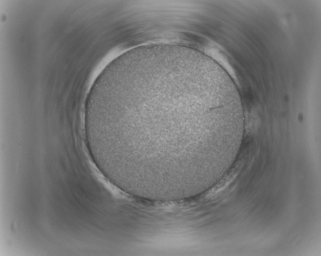 X0000070431099200606302120