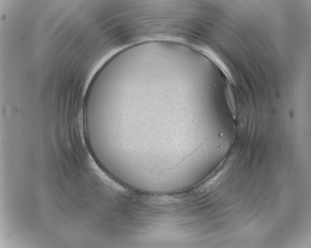 X0000070431100200606302120