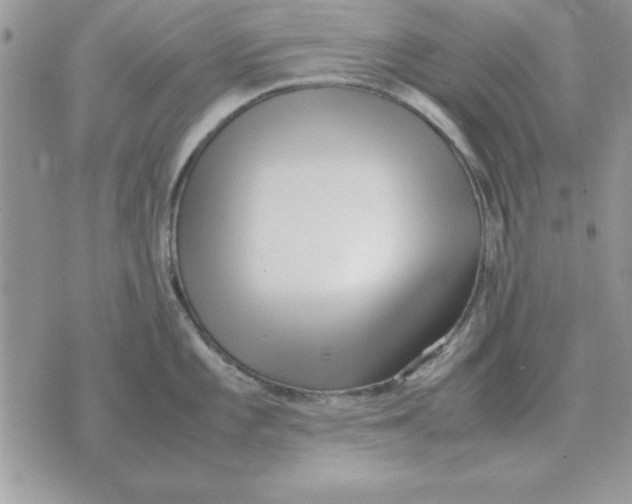 X0000070431101200606302120