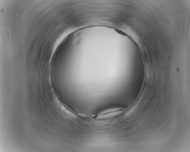 X0000070431102200606302120