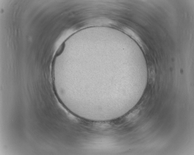 X0000070431103200606302120