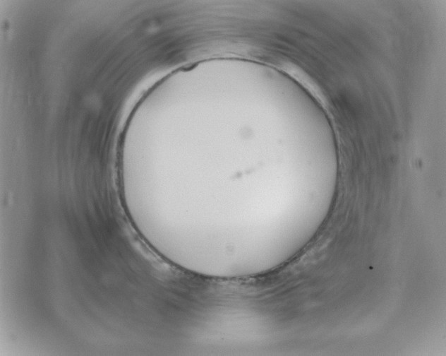 X0000070431104200606302120