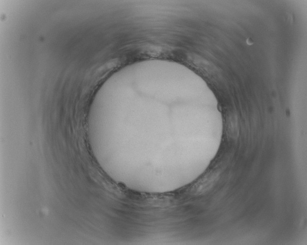 X0000070431105200606302119