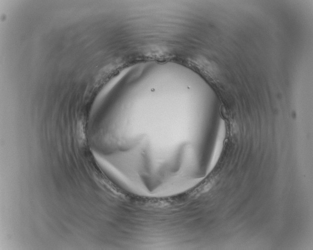 X0000070431106200606302119