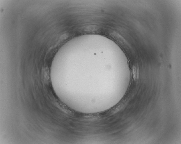 X0000070431107200606302119