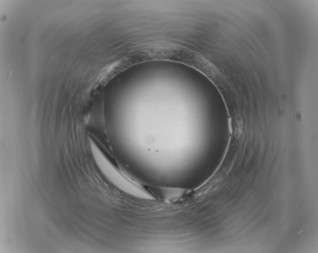 X0000070431108200606302119