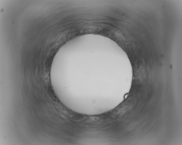 X0000070431109200606302119