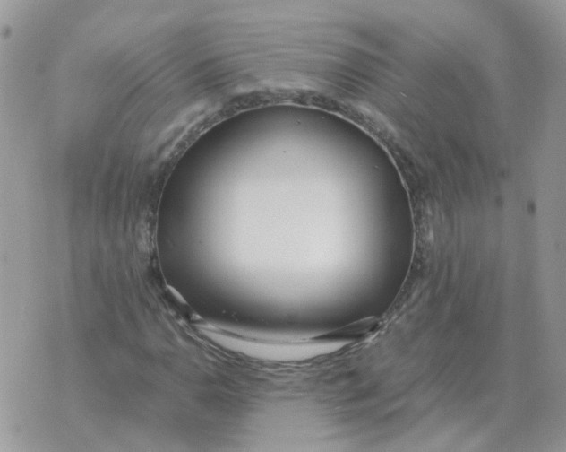 X0000070431110200606302119