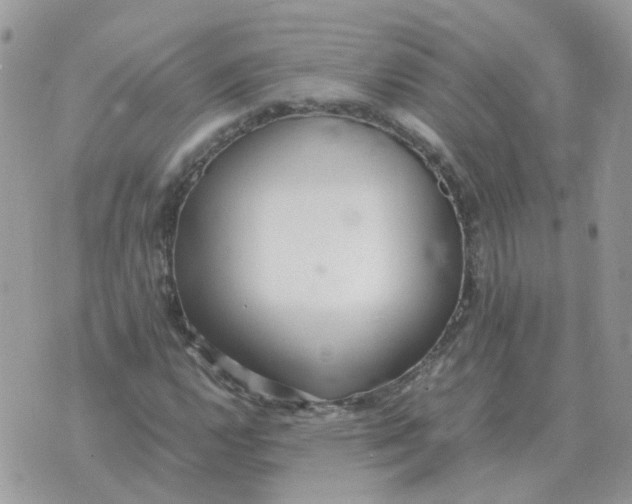 X0000070431112200606302119