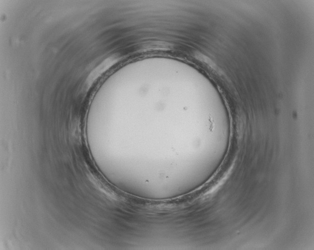 X0000070431113200606302119