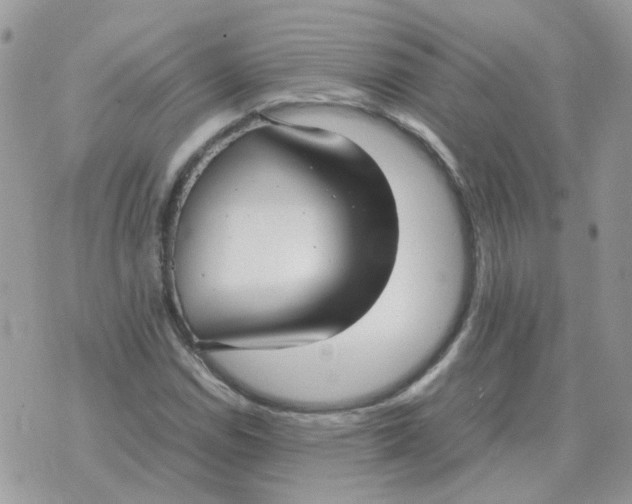 X0000070431114200606302119