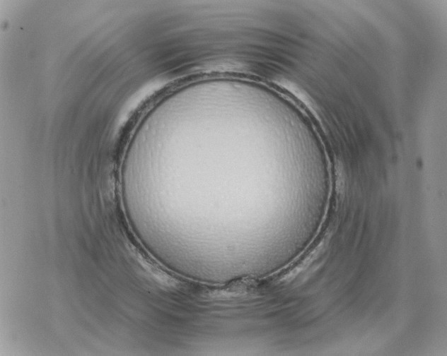 X0000070431115200606302119