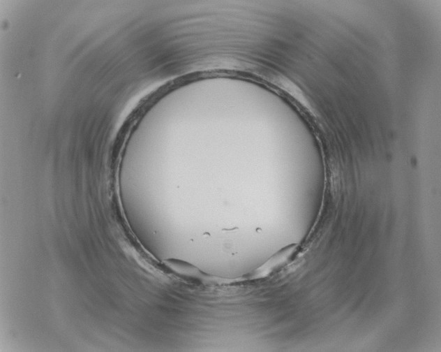 X0000070431116200606302119