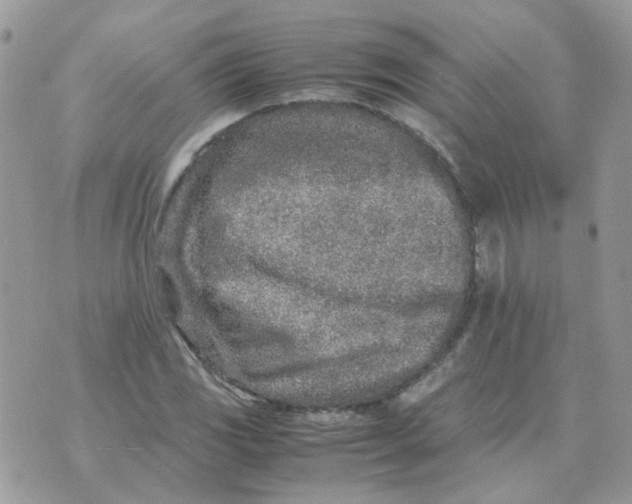 X0000070431117200606302119