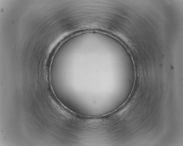 X0000070431118200606302119