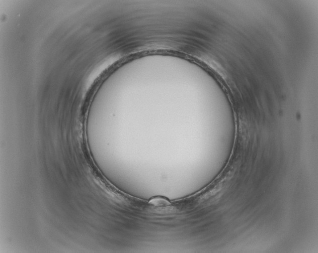 X0000070431119200606302119