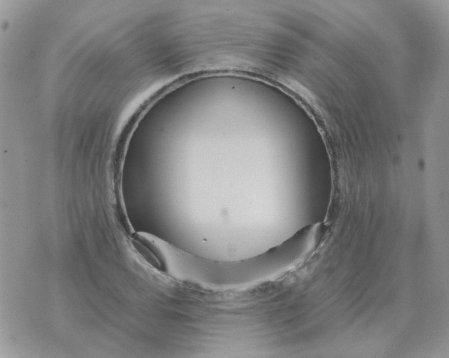 X0000070431120200606302119