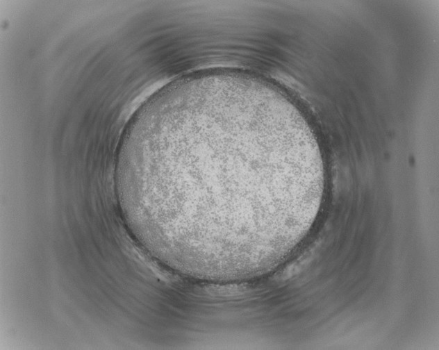 X0000070431121200606302119