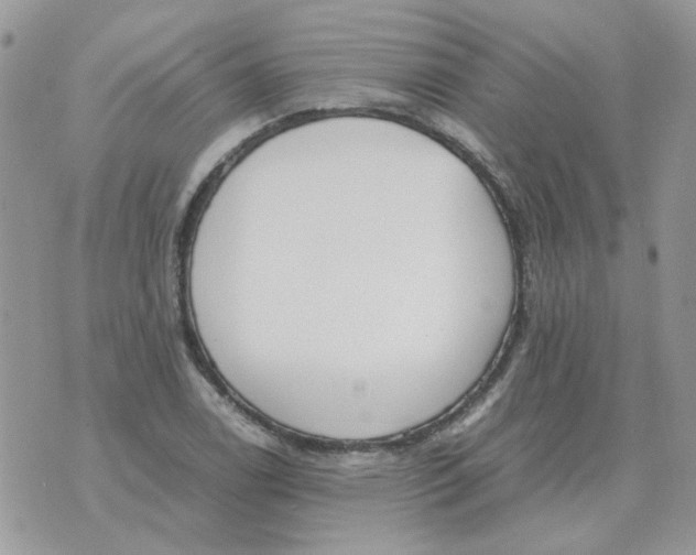 X0000070431122200606302119