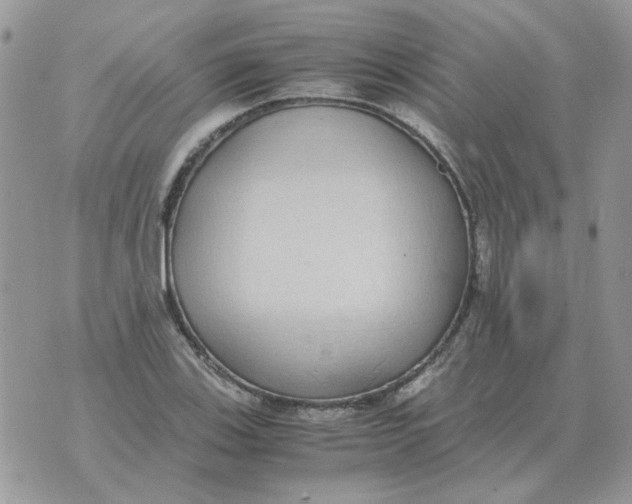 X0000070431123200606302119