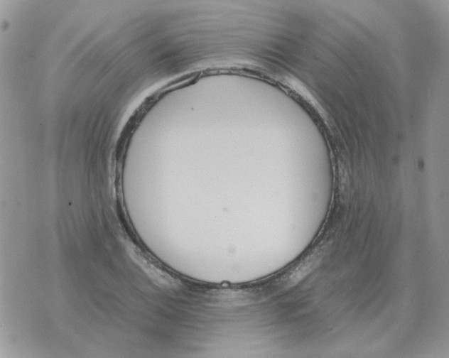 X0000070431124200606302119