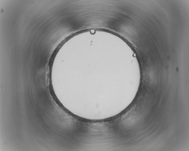 X0000070431126200606302119