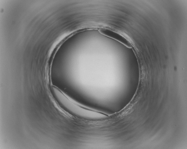 X0000070431128200606302119