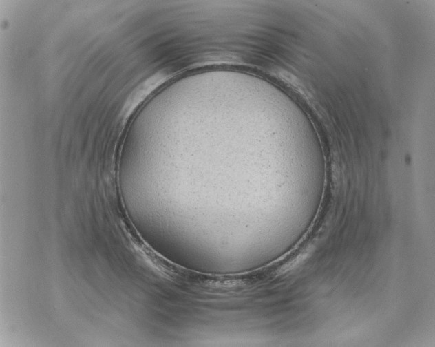 X0000070431129200606302119