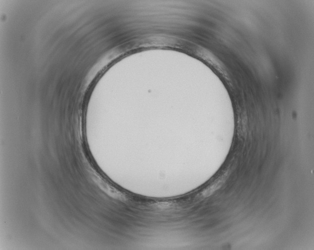 X0000070431130200606302119