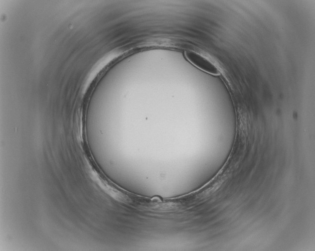 X0000070431131200606302119