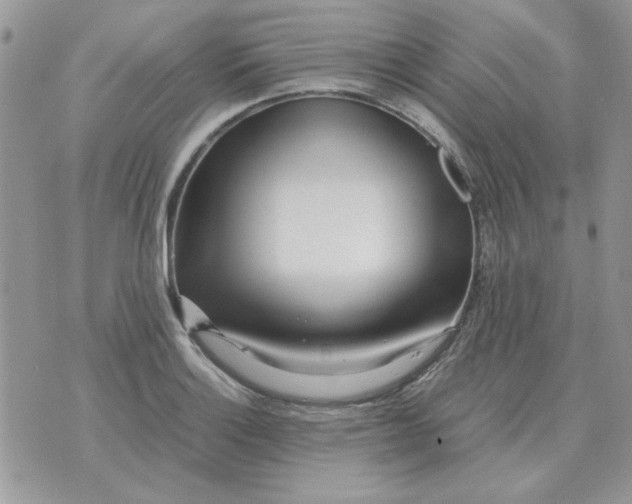 X0000070431132200606302119