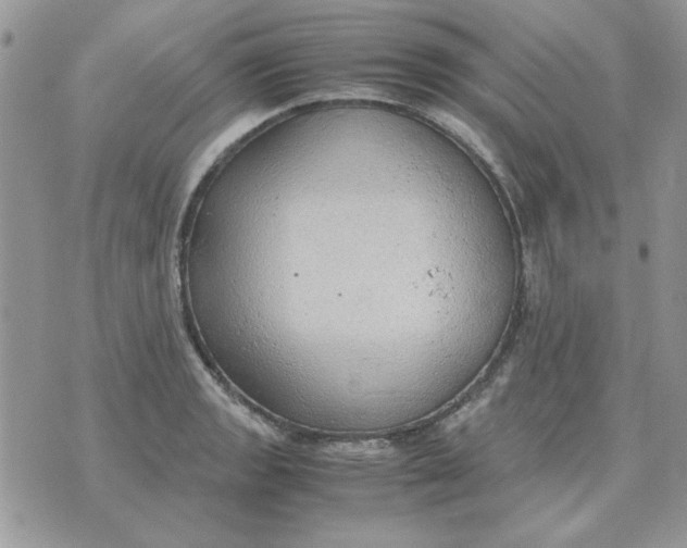 X0000070431133200606302119