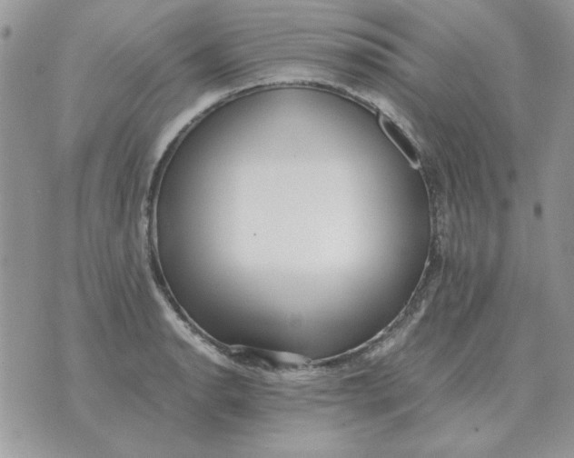 X0000070431134200606302119