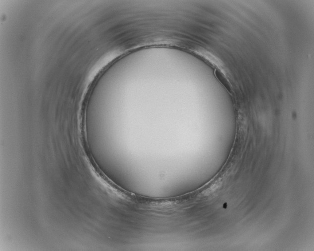 X0000070431135200606302119