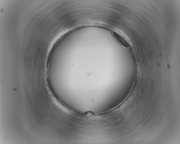 X0000070431136200606302119