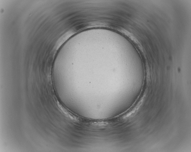 X0000070431137200606302119