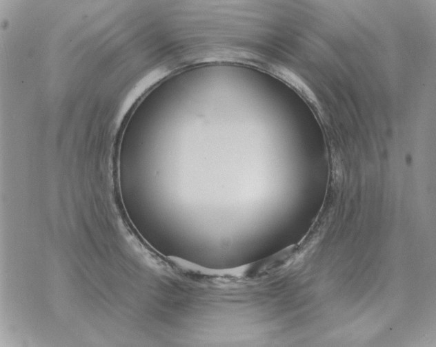 X0000070431138200606302120