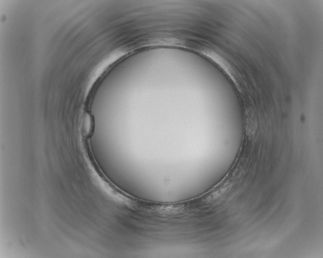 X0000070431139200606302120