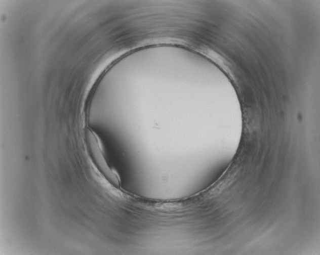 X0000070431140200606302120